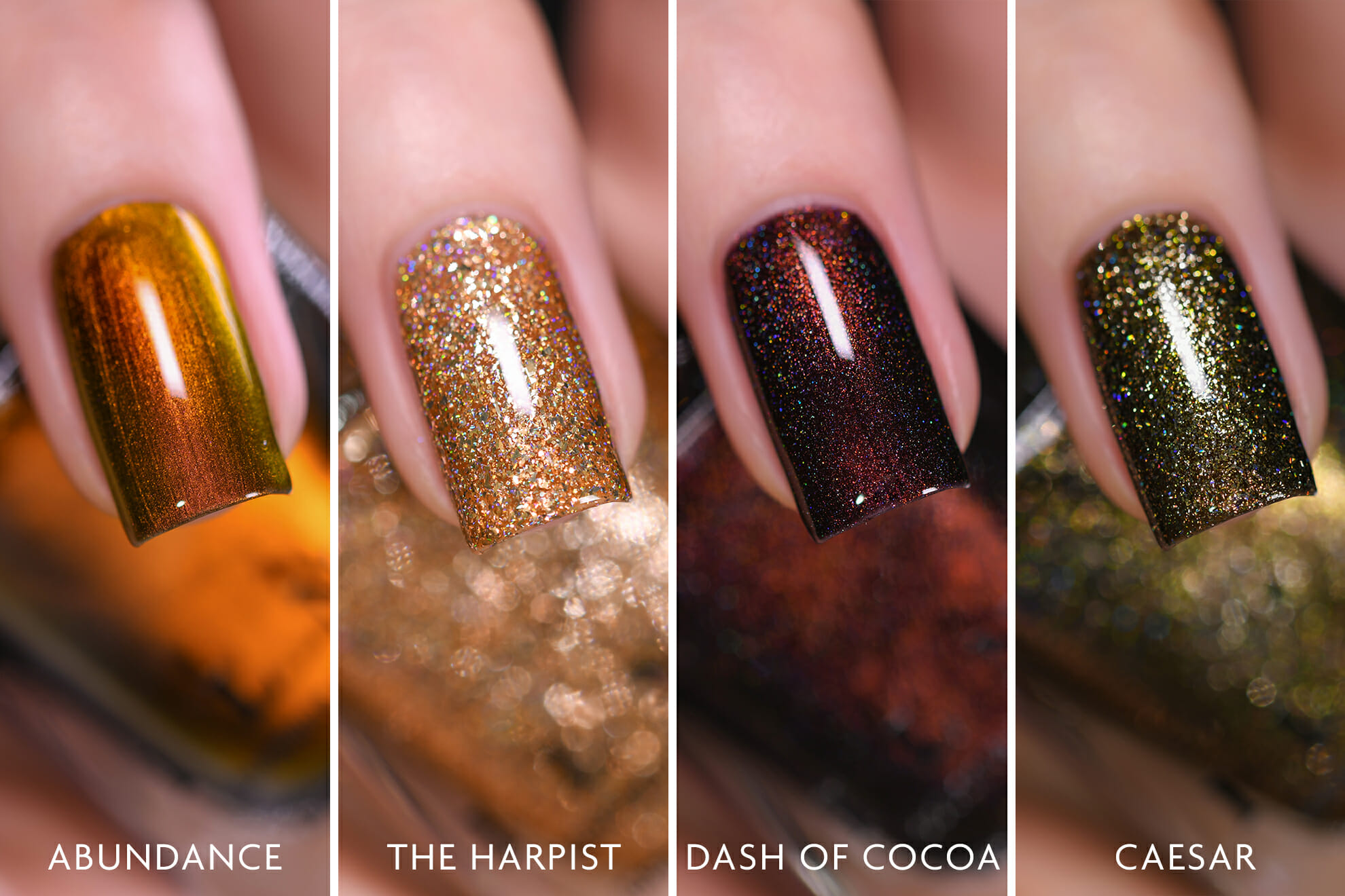 ILNP Fall Essentials Bundle
