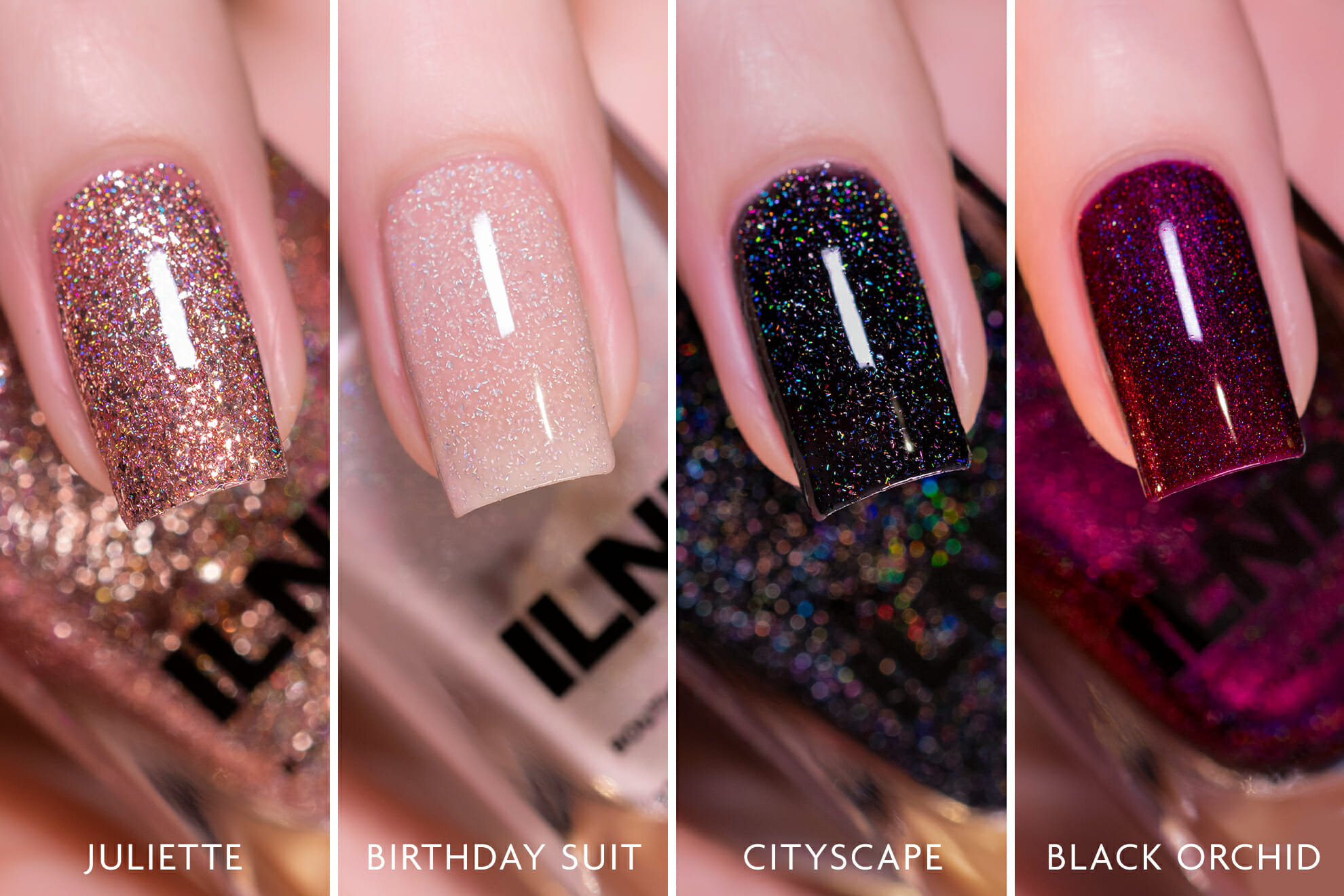 ILNP Favorites Bundle