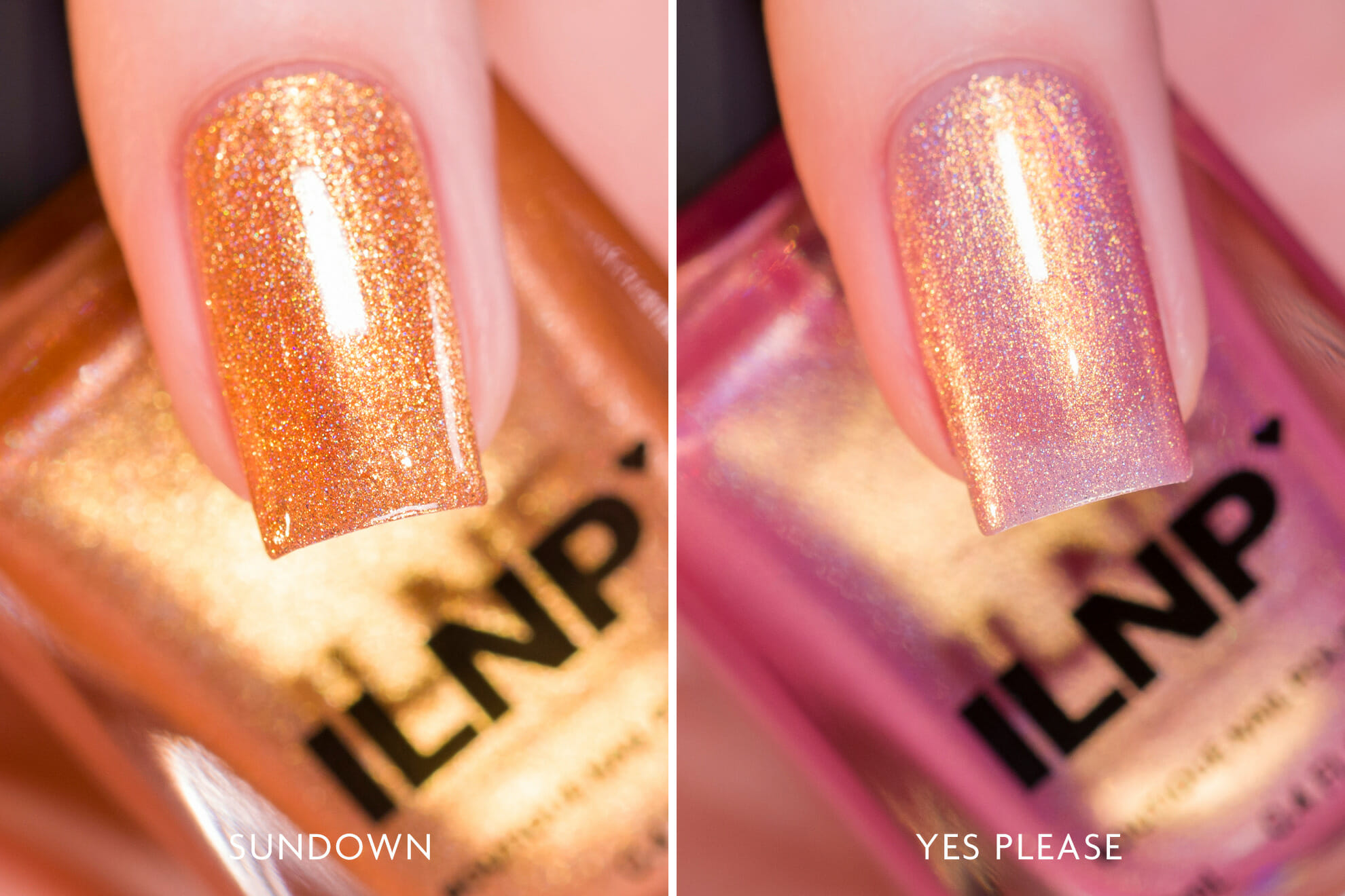 ILNP Sunkissed Bundle