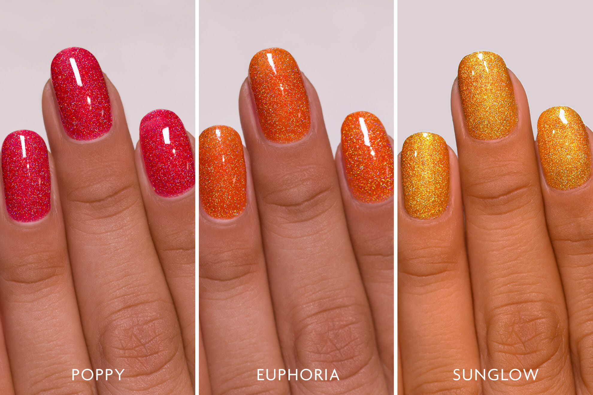 ILNP Sunset Bundle