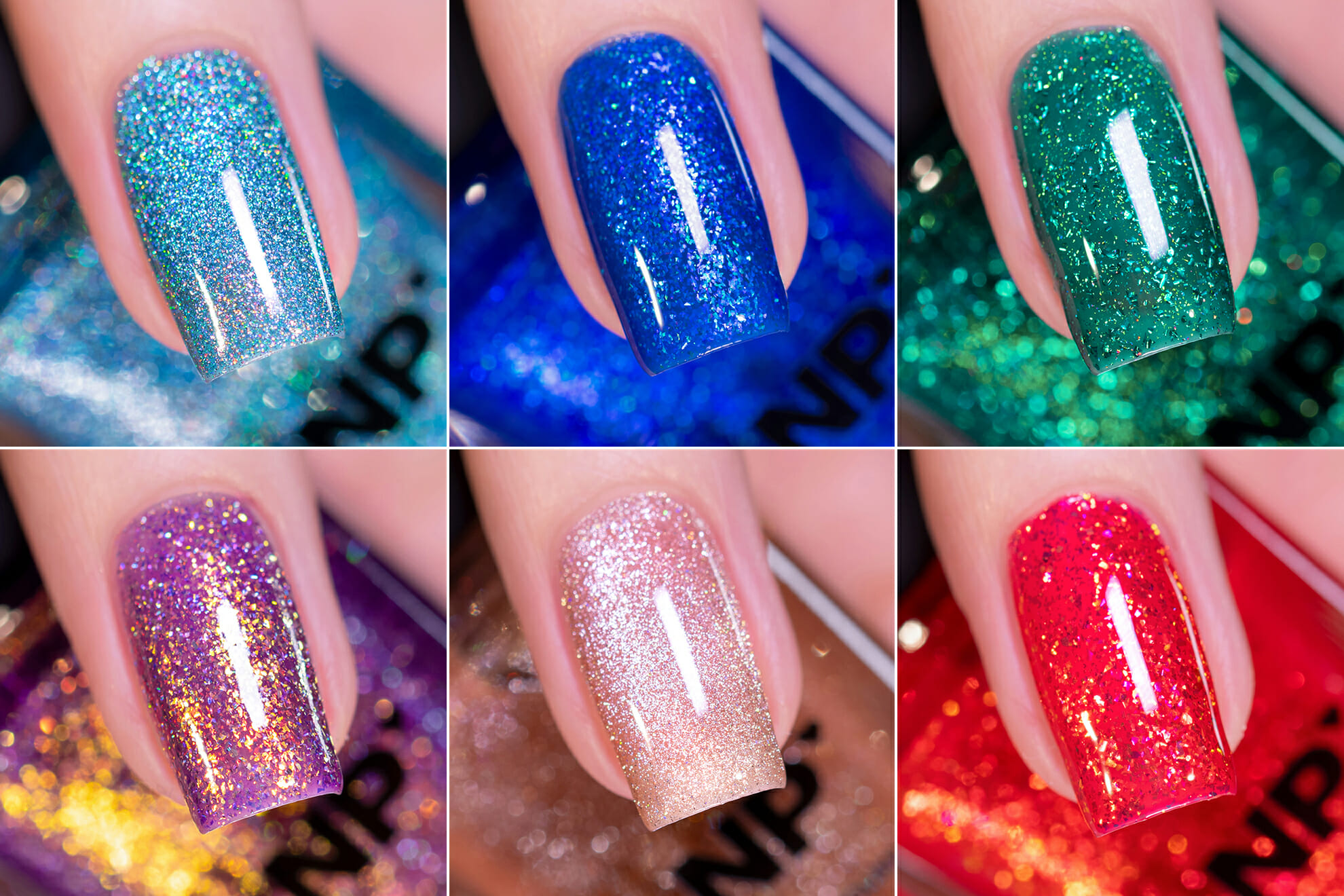 Under The Sea Collection