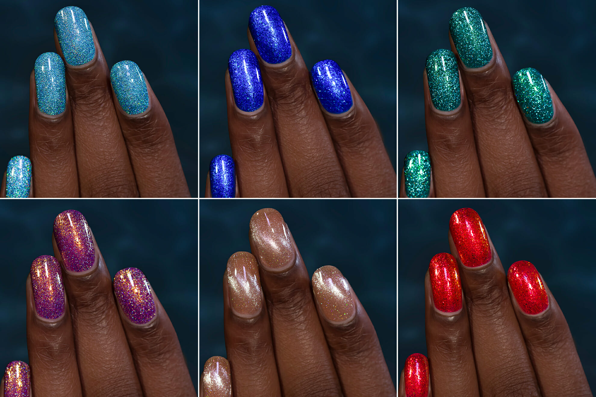 Under The Sea Collection