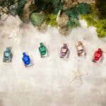 Under The Sea Collection