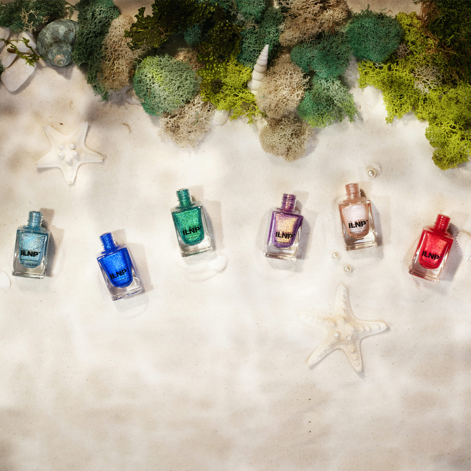 Under The Sea Collection