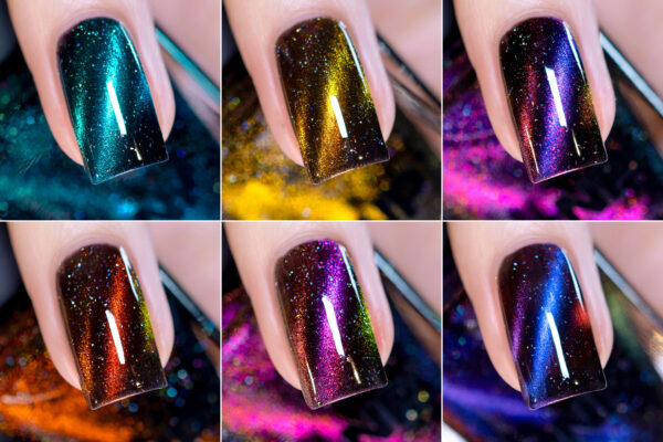 Nightlife Collection