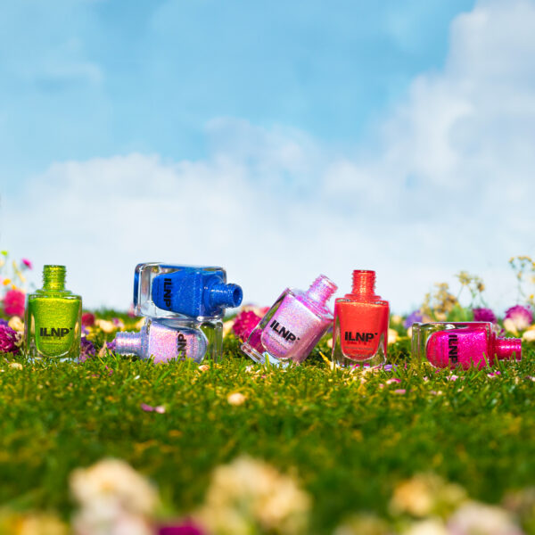 Wildflowers Collection