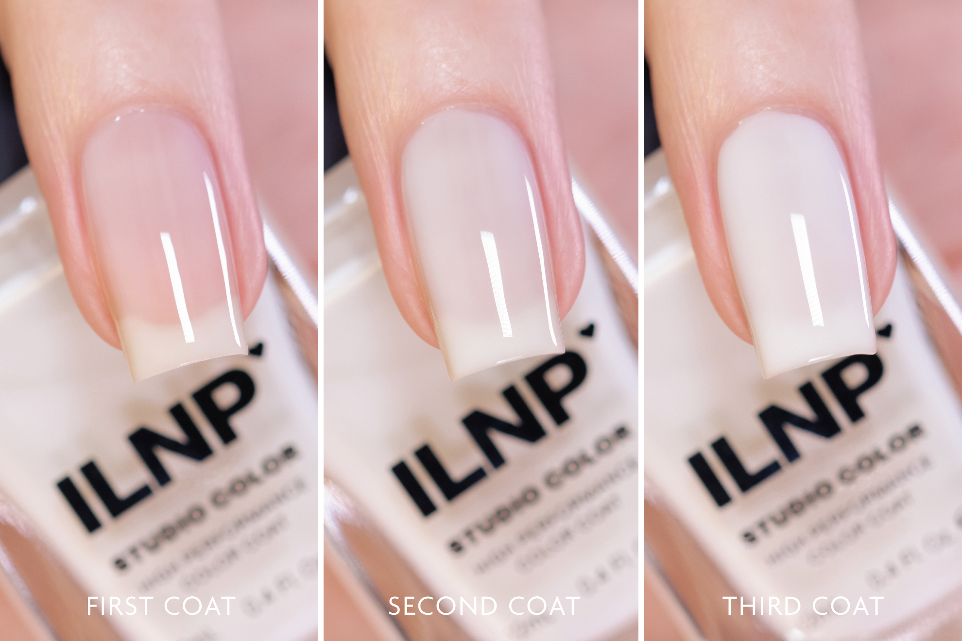 Coconut Cream