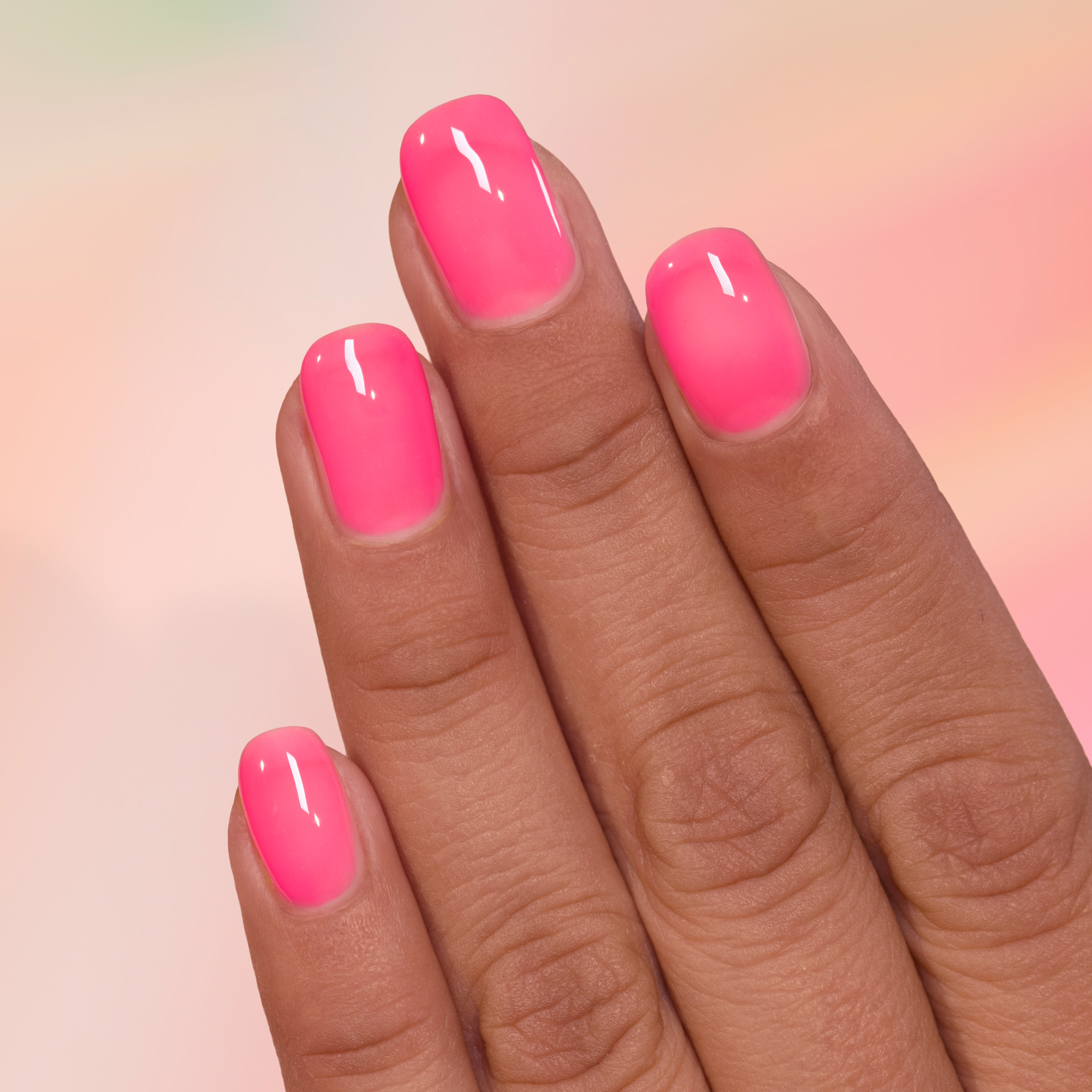 Sorbet