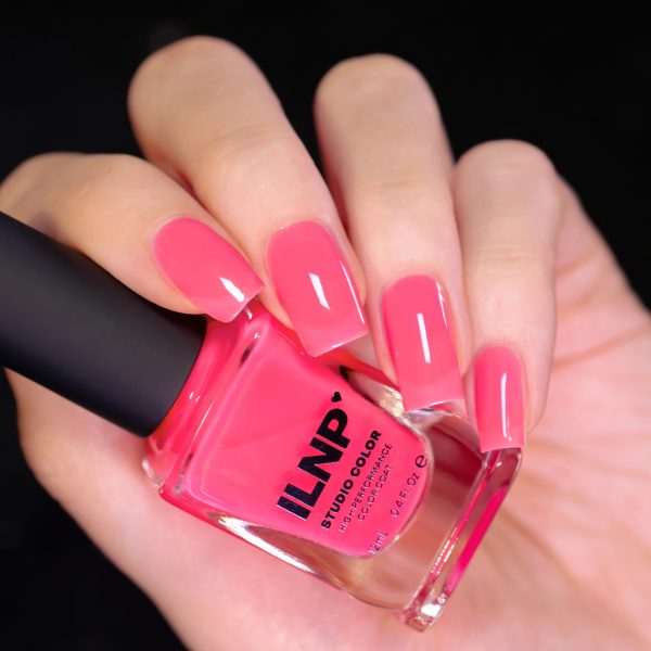 Sorbet