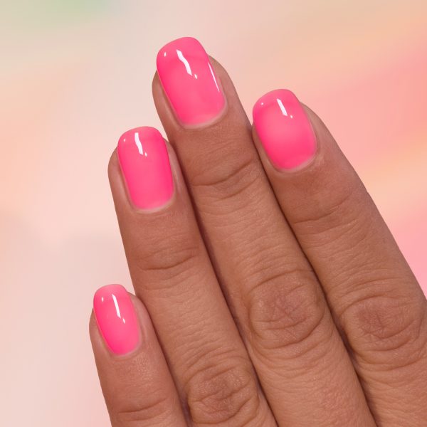 Sorbet