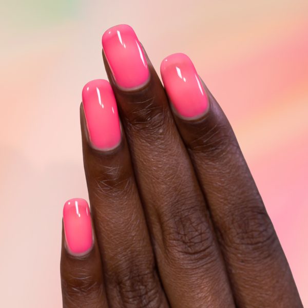 Sorbet