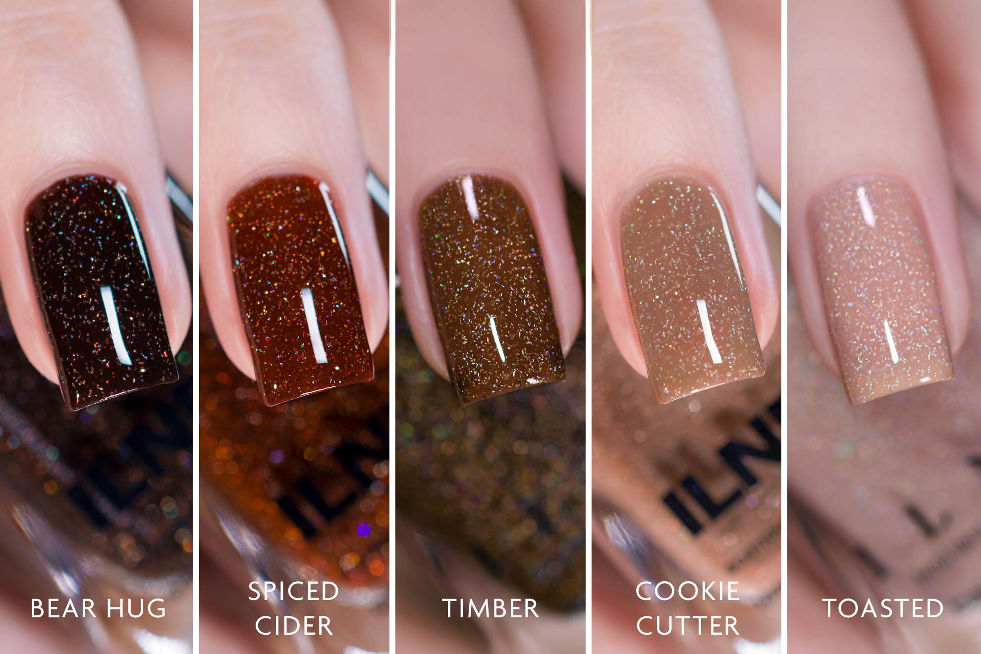 ILNP Holo Jelly Cafe Bundle