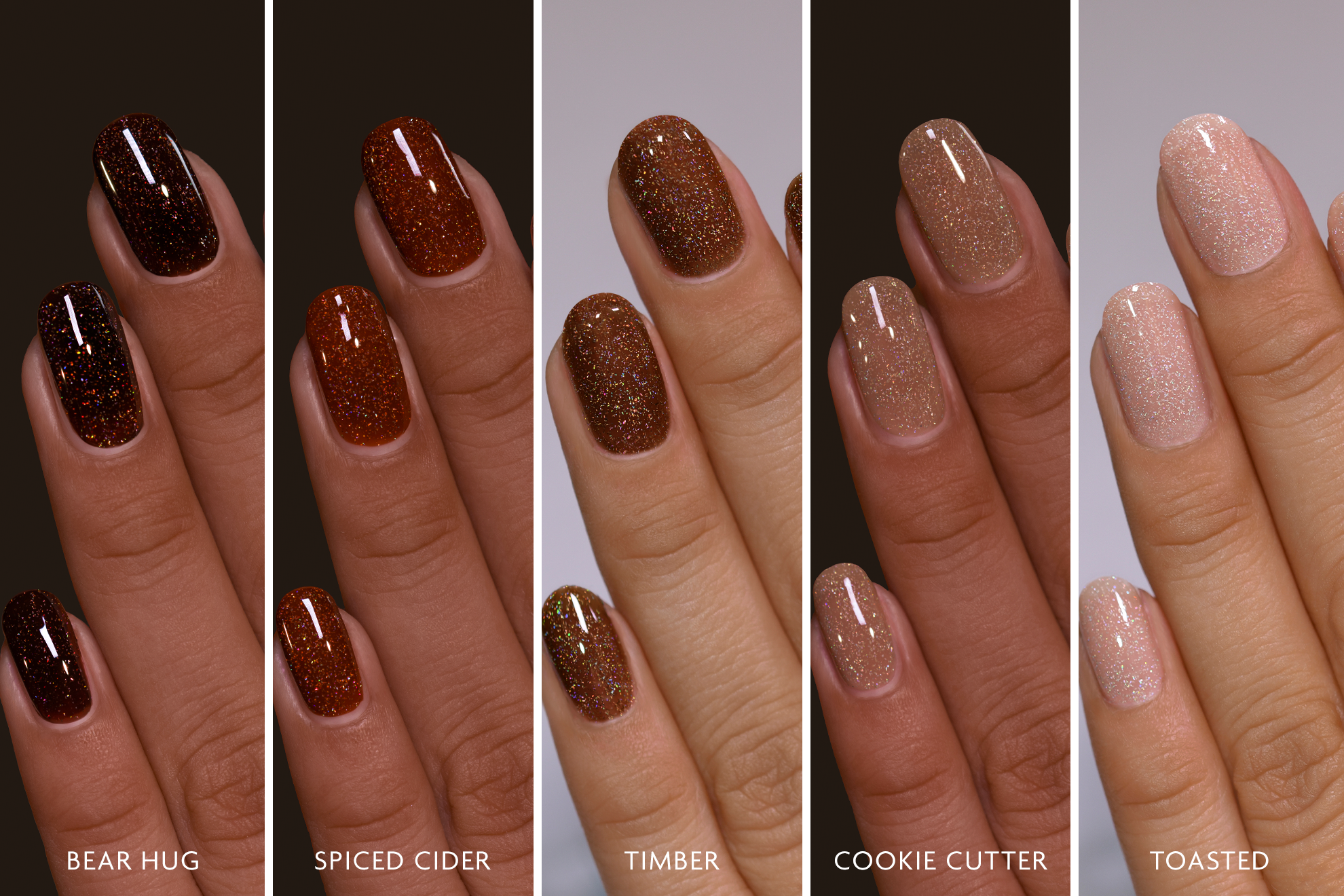 ILNP Holo Jelly Cafe Bundle