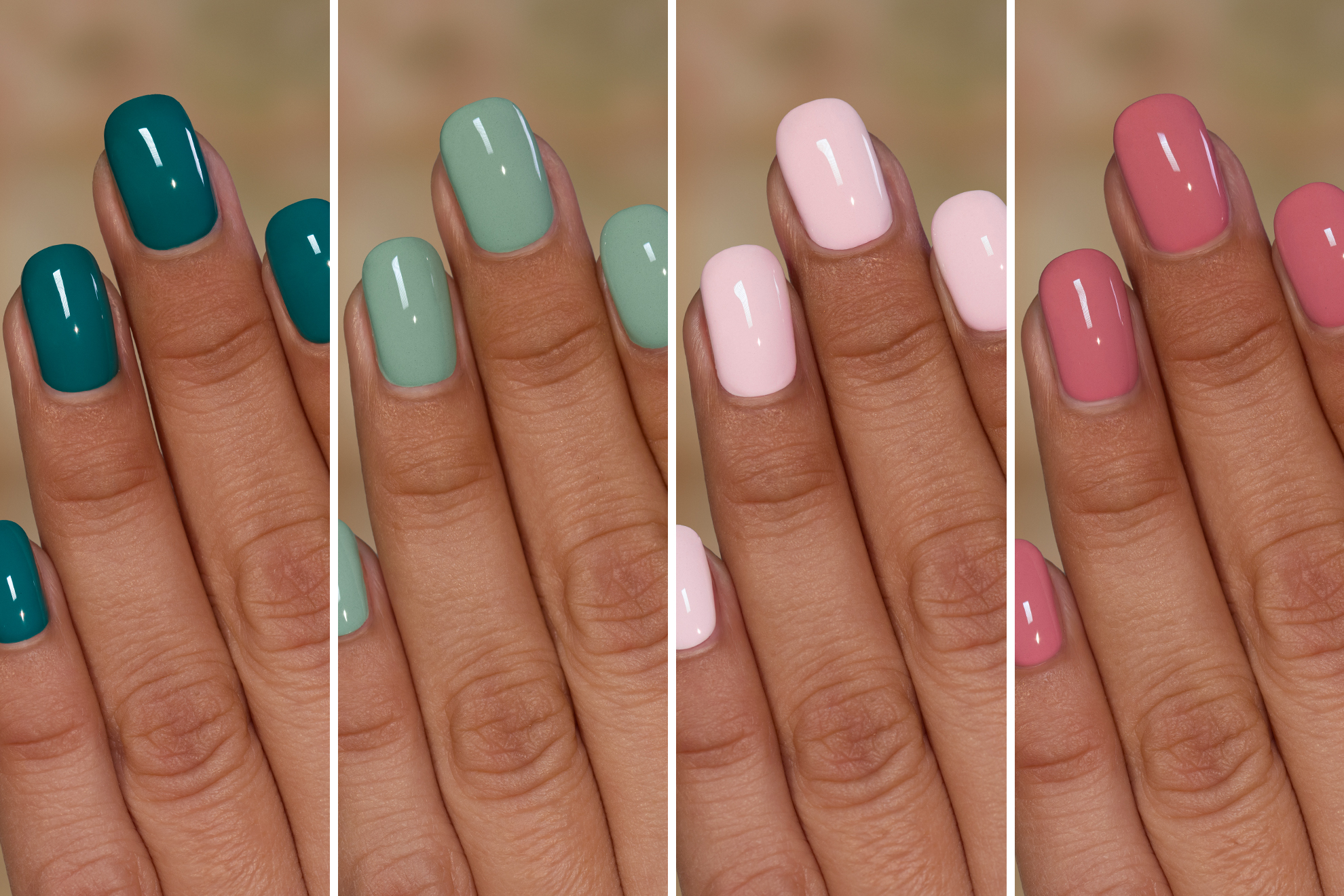 Flower Shop Collection