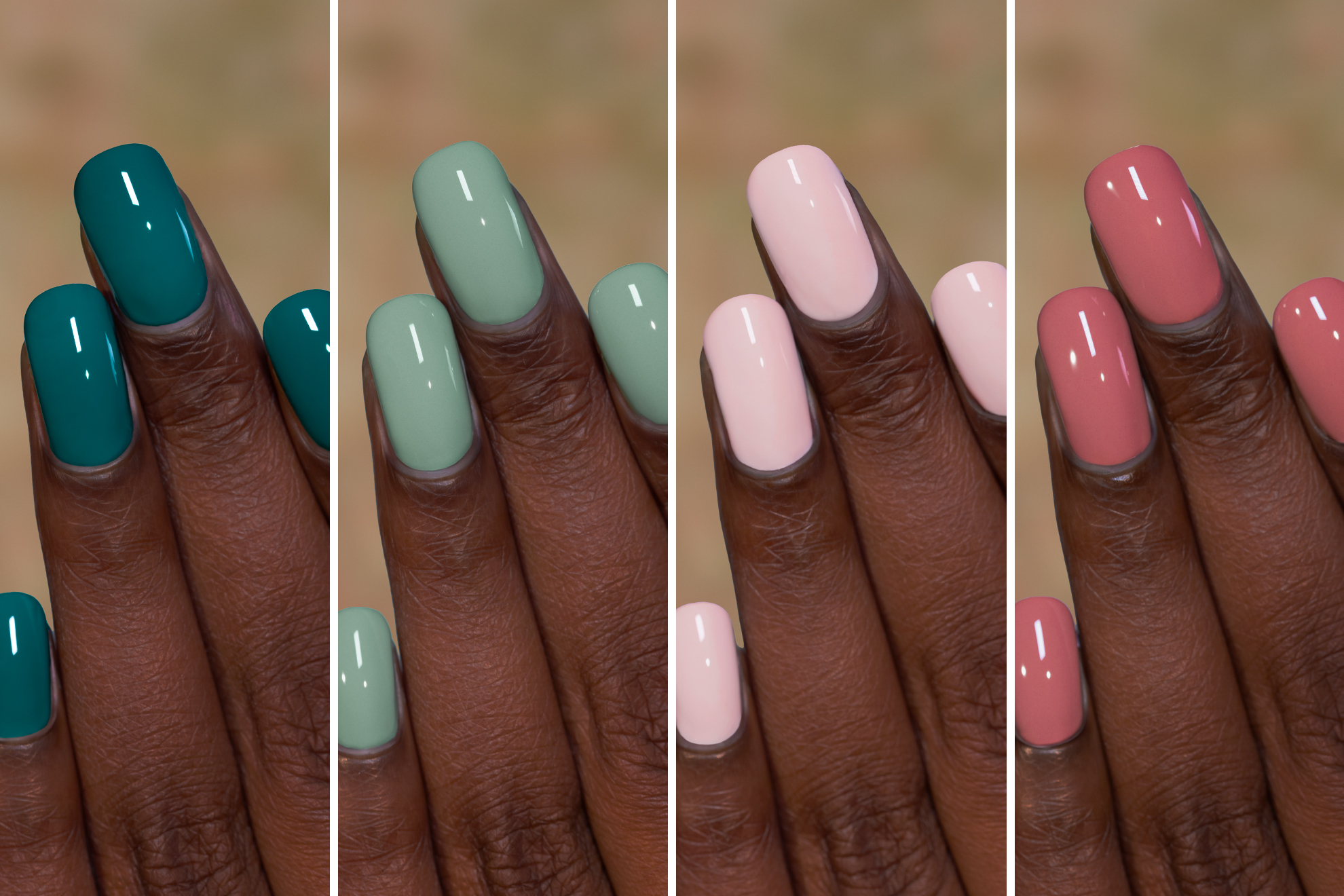 Flower Shop Collection