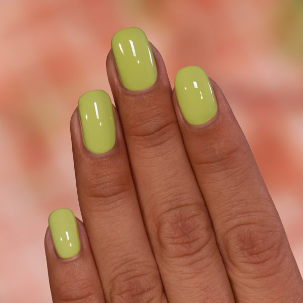 Pistachio
