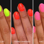 ILNP Highlighter Bundle