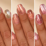 Socialite Collection