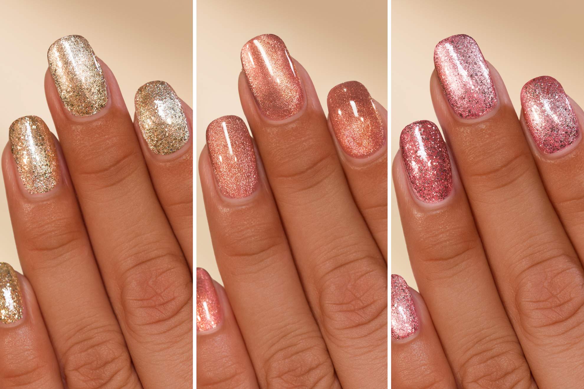 Socialite Collection