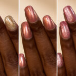 Socialite Collection