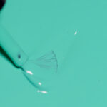 Low Tide