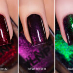 ILNP Black Cat Bundle