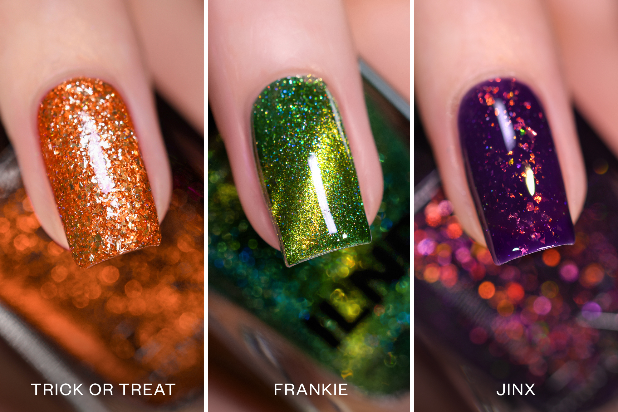 ILNP Boo Bundle
