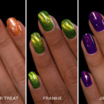 ILNP Boo Bundle