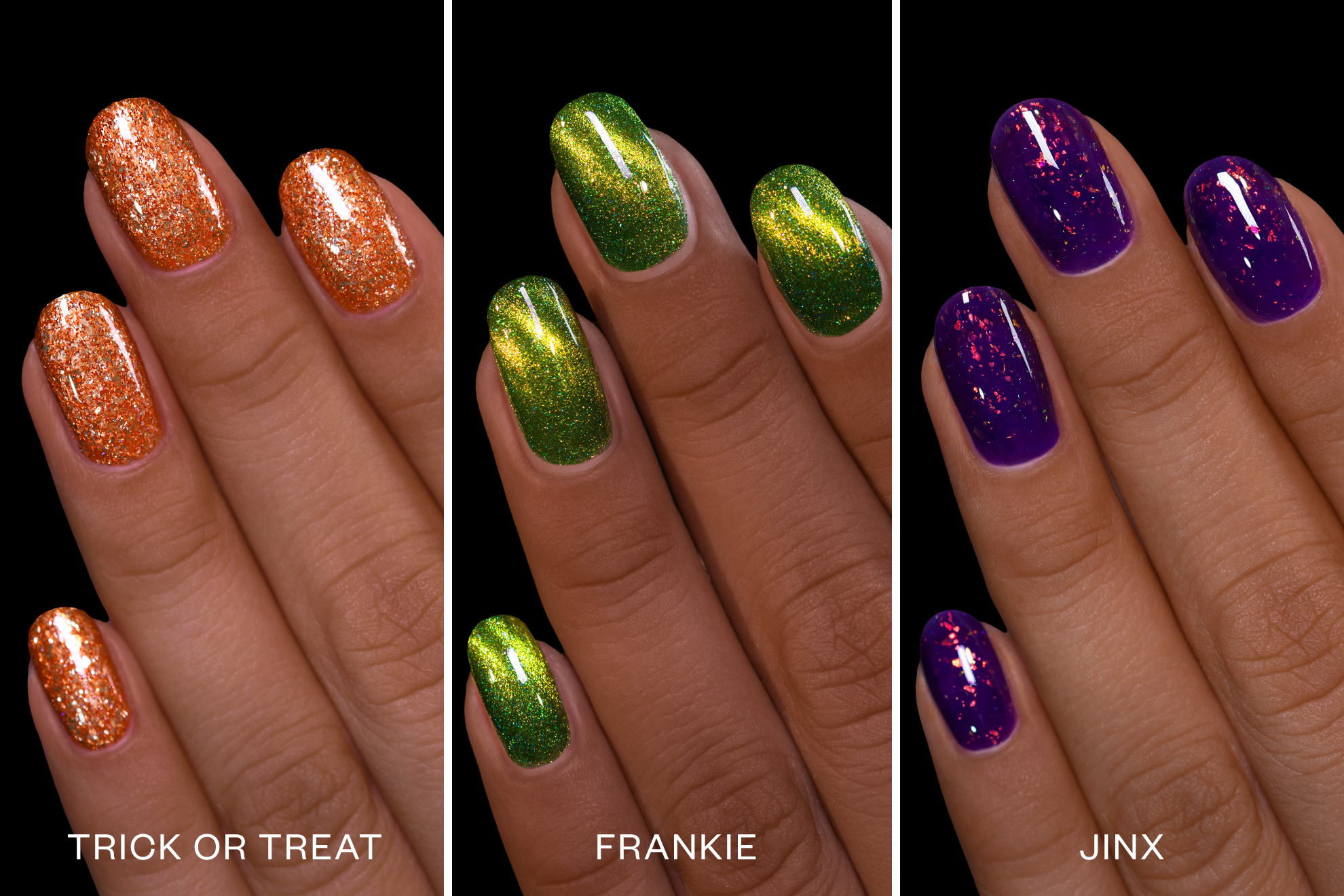 ILNP Boo Bundle