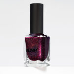 Black Orchid