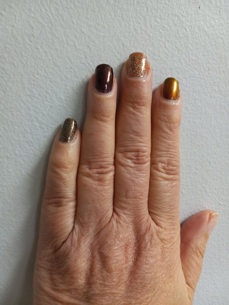 ILNP Fall Essentials Bundle by ILNP